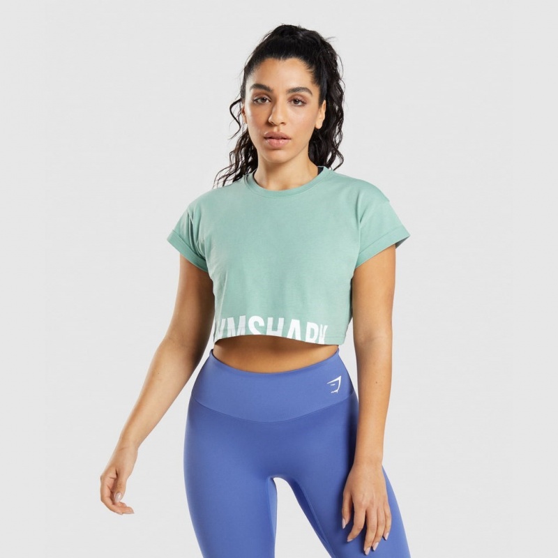 Camiseta Gymshark Fraction Crop Azules | 47EIQDVMP