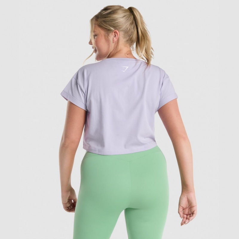 Camiseta Gymshark Fraction Crop Moradas Claro | 75VTELPSH