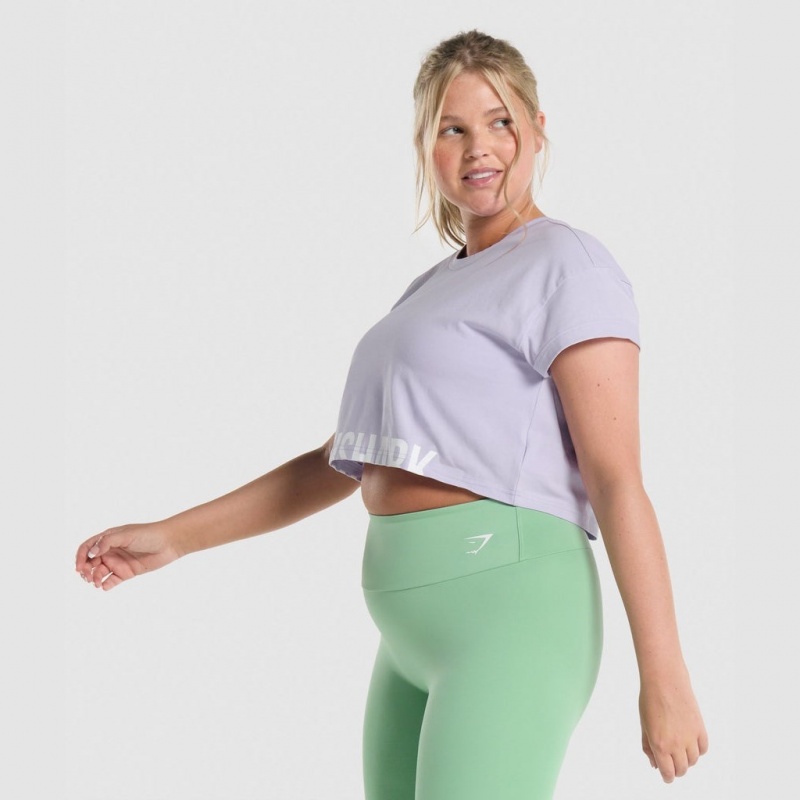 Camiseta Gymshark Fraction Crop Moradas Claro | 75VTELPSH