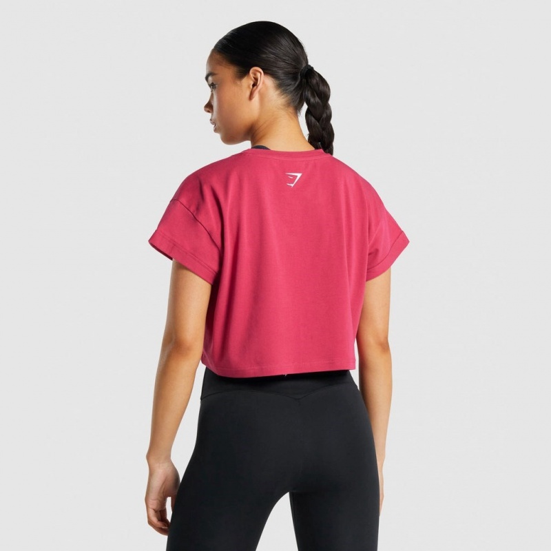 Camiseta Gymshark Fraction Crop Rosas | 36PXCYNUV
