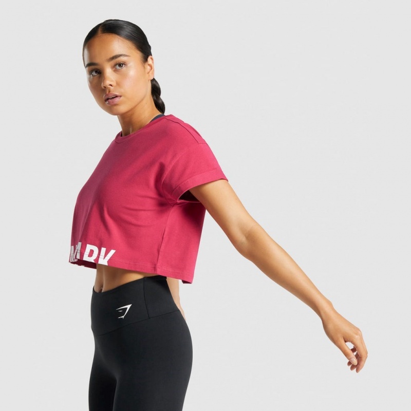 Camiseta Gymshark Fraction Crop Rosas | 36PXCYNUV