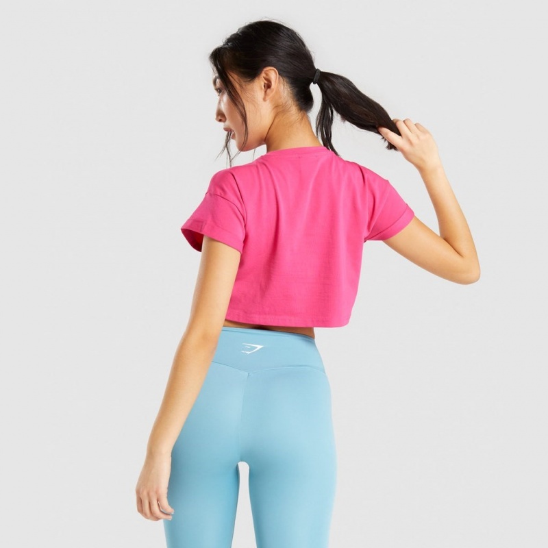 Camiseta Gymshark Fraction Crop Rosas | 72QPRMBZK
