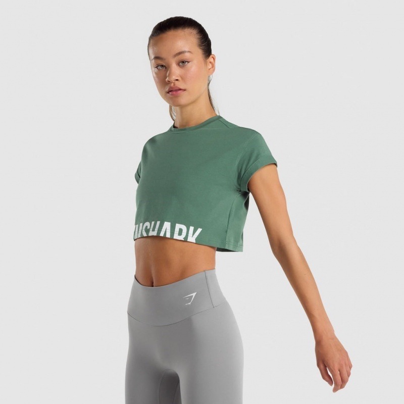 Camiseta Gymshark Fraction Crop Verde | 05CBRNXMK