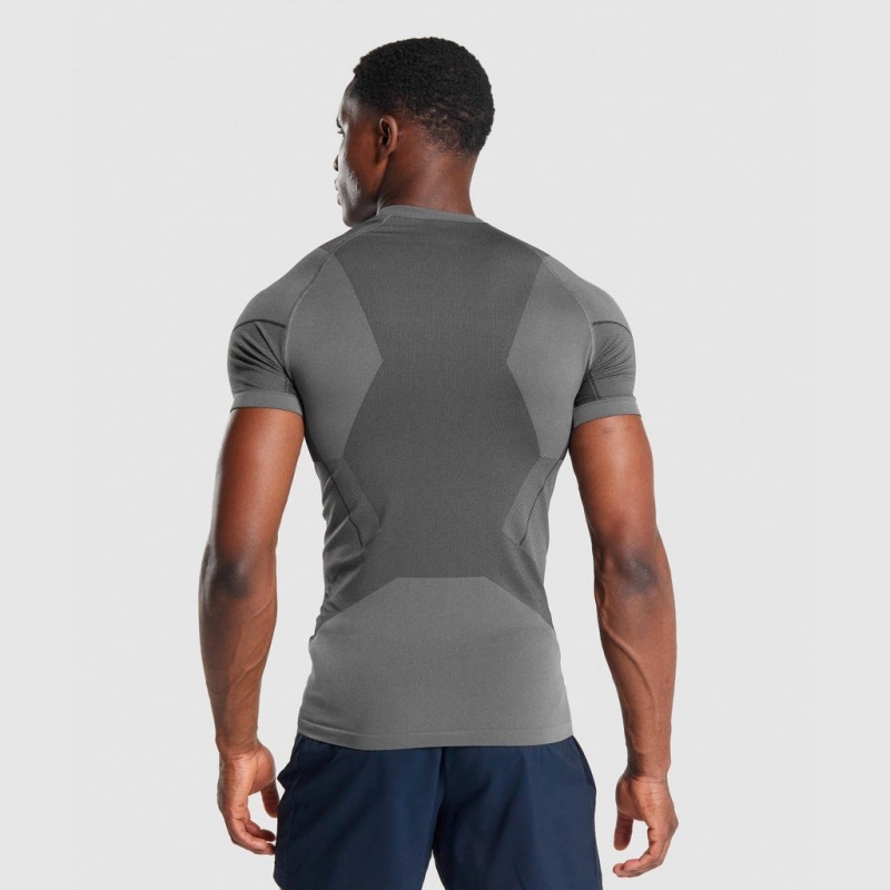Camiseta Gymshark Free Force Seamless Gris | 74RNQMZCI