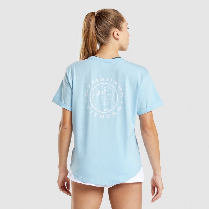 Camiseta Gymshark Legacy Estampadas Tee Azules | 45UKYFPWJ