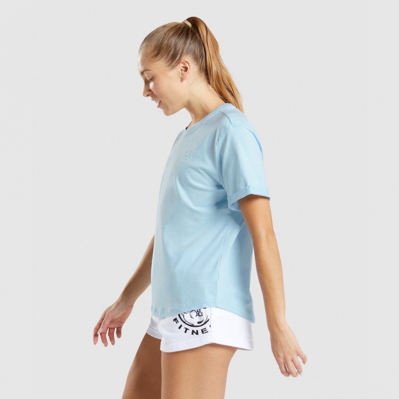 Camiseta Gymshark Legacy Estampadas Tee Azules | 45UKYFPWJ
