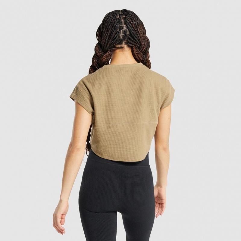 Camiseta Gymshark Pause Crop Marrones Claro | 63CASWXGH