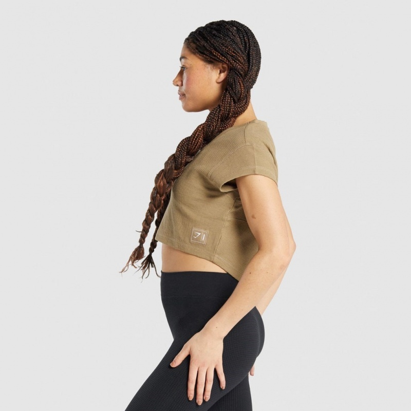 Camiseta Gymshark Pause Crop Marrones Claro | 63CASWXGH