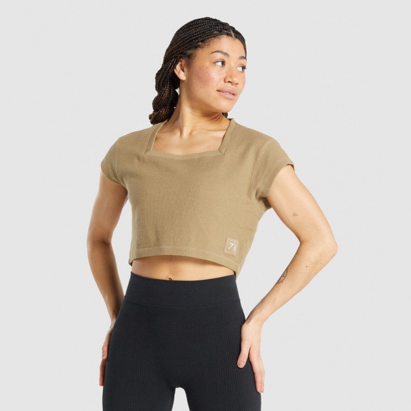 Camiseta Gymshark Pause Crop Marrones Claro | 63CASWXGH