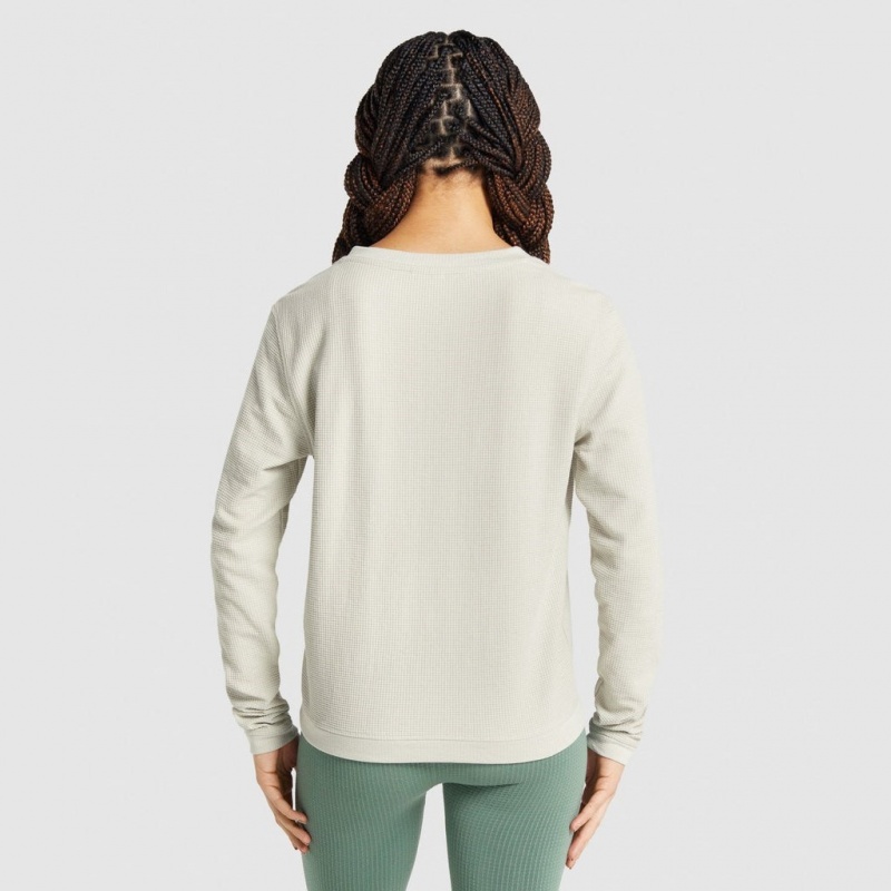 Camiseta Gymshark Pause Long Sleeve Gris | 05XPZCOKJ