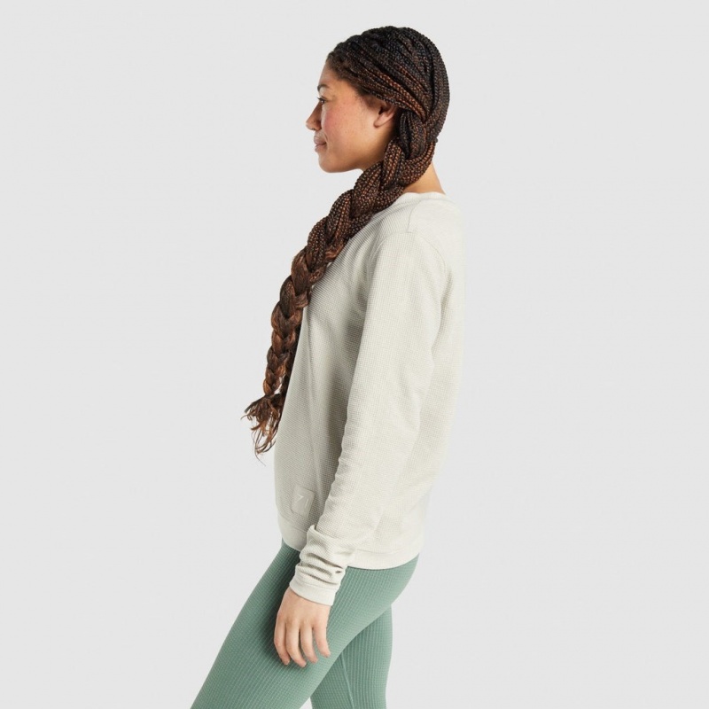 Camiseta Gymshark Pause Long Sleeve Gris | 05XPZCOKJ