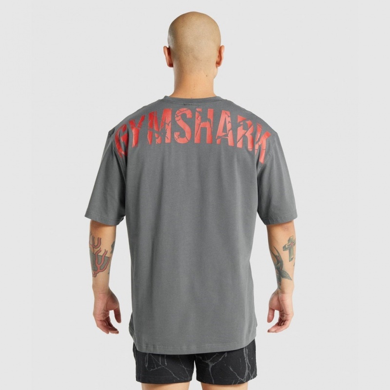 Camiseta Gymshark Power Gris | 35GFMITDU