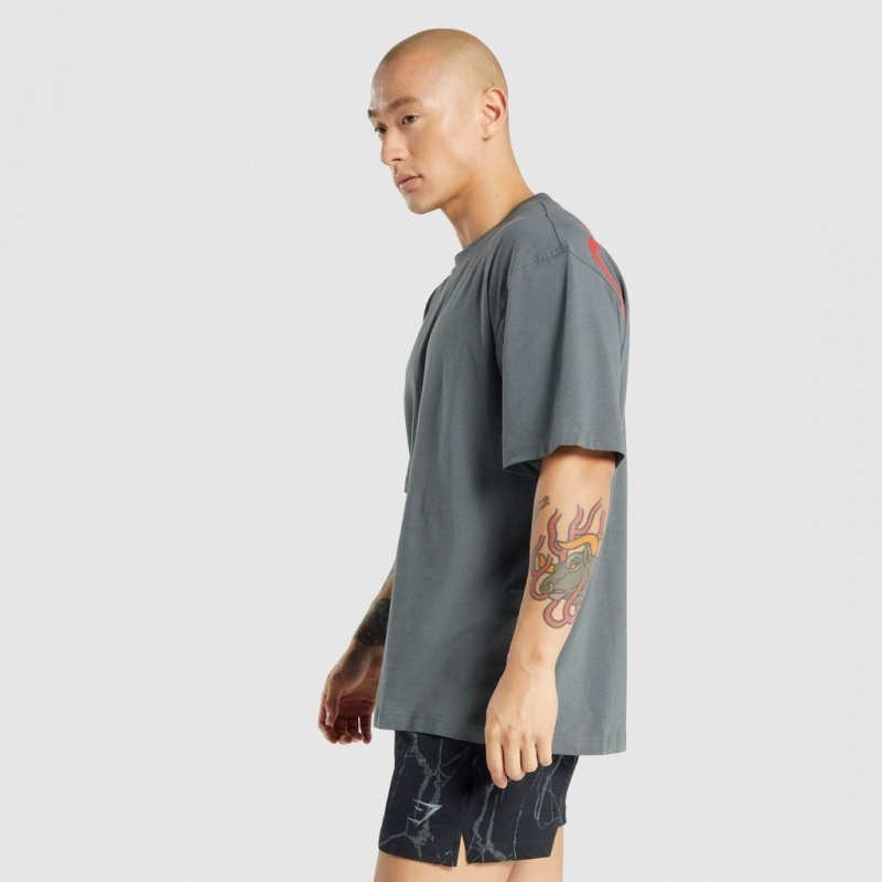 Camiseta Gymshark Power Gris | 35GFMITDU