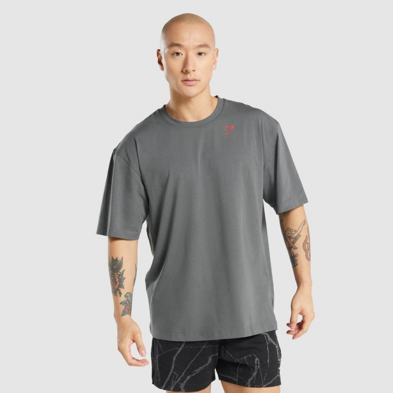 Camiseta Gymshark Power Gris | 35GFMITDU