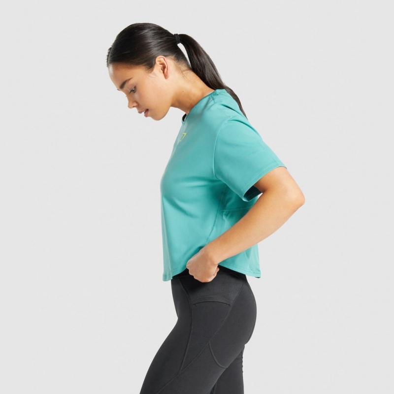 Camiseta Gymshark Pulse Teal | 05CQNAOMJ