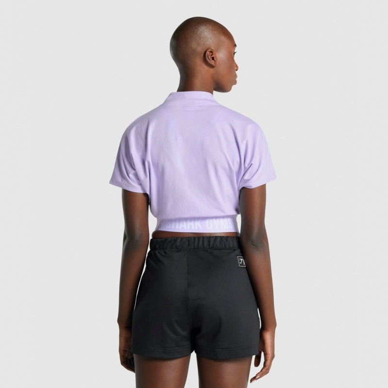 Camiseta Gymshark Recess Crop 1/2 Zip Tee Crop Moradas Claro | 27WVFAHXU