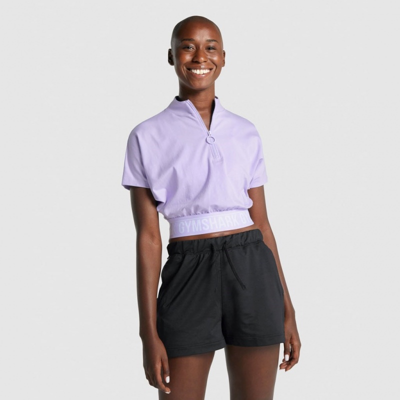 Camiseta Gymshark Recess Crop 1/2 Zip Tee Crop Moradas Claro | 27WVFAHXU