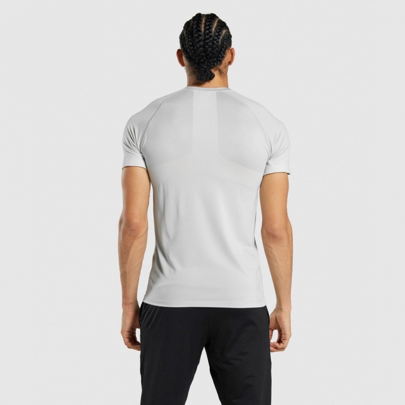 Camiseta Gymshark Regulate Entrenamiento Gris Claro | 24EZBKODM