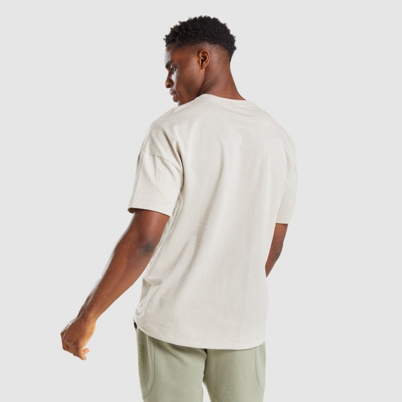 Camiseta Gymshark Restore Gris | 64DBZSLFW