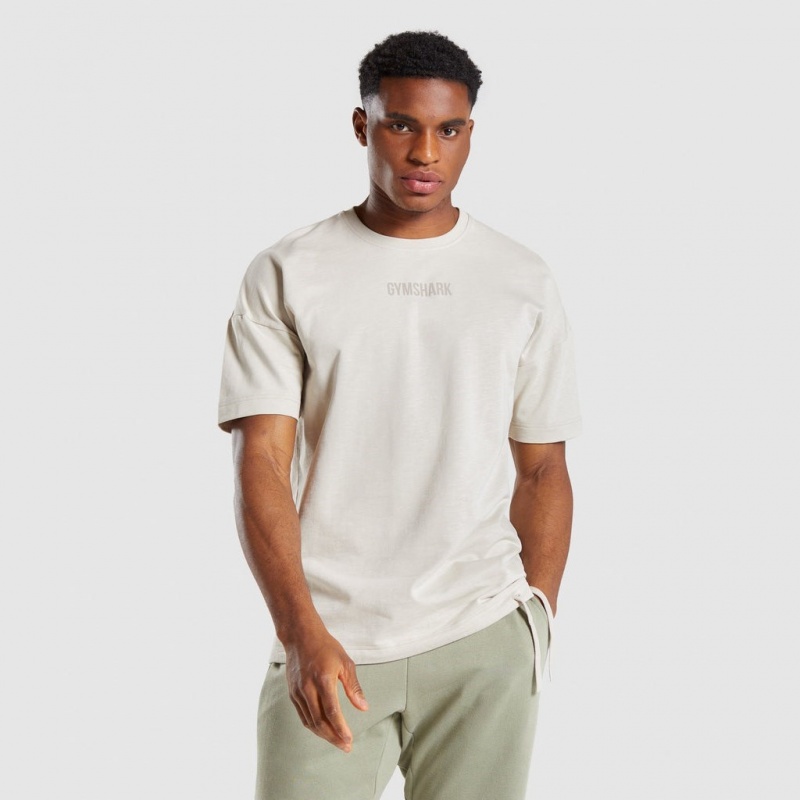 Camiseta Gymshark Restore Gris | 64DBZSLFW