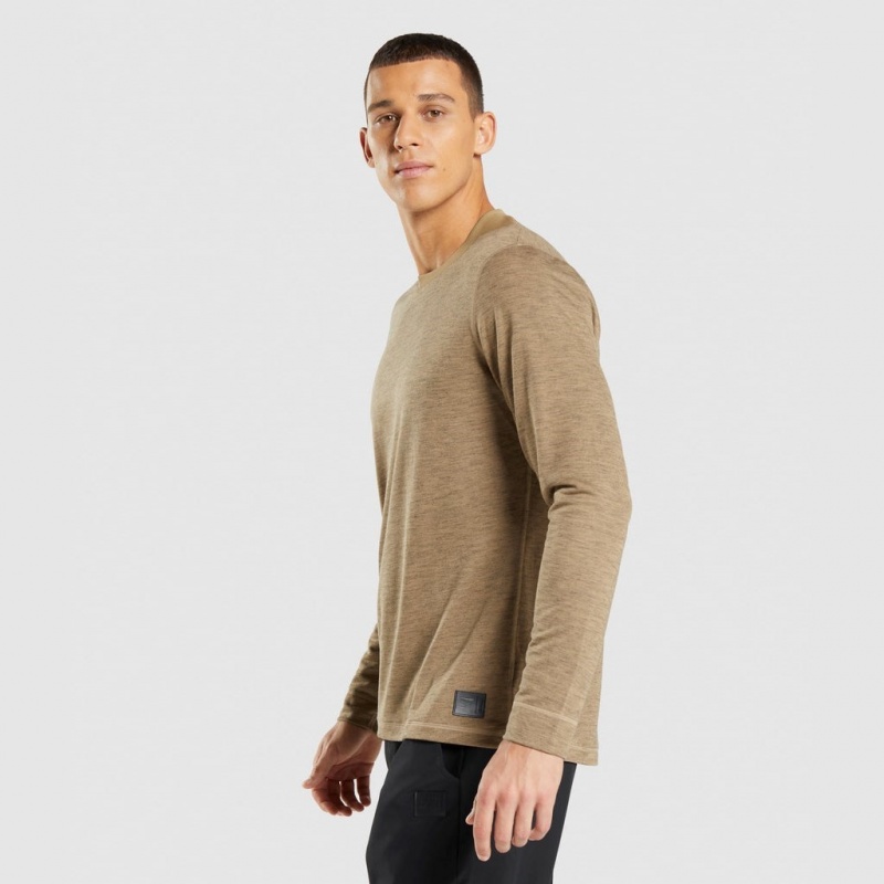 Camiseta Gymshark Retake Long Sleeve Marrones Claro | 48SHNXJGZ