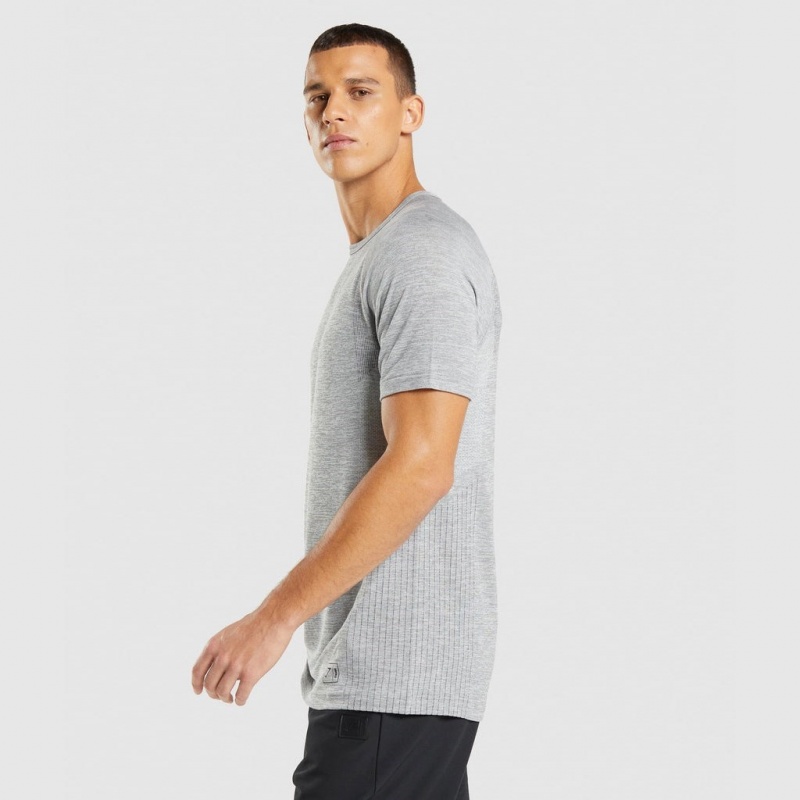 Camiseta Gymshark Retake Seamless Gris Claro Negras | 93GNBROYH