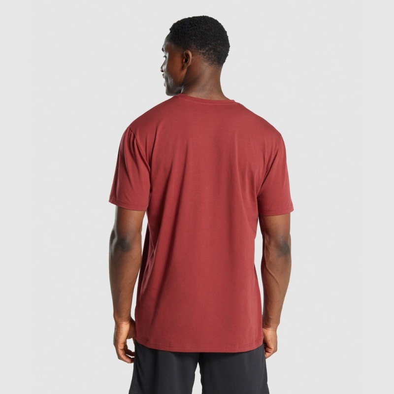 Camiseta Gymshark Sharkhead Infill Burdeos | 12QXKTNDO