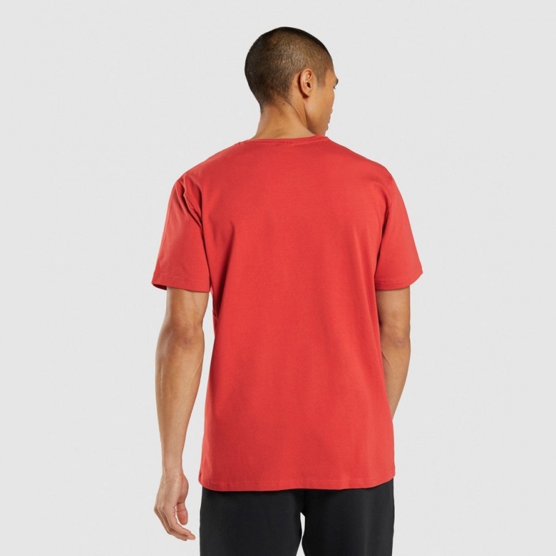 Camiseta Gymshark Sharkhead Infill Rojas | 20HWUNCMJ