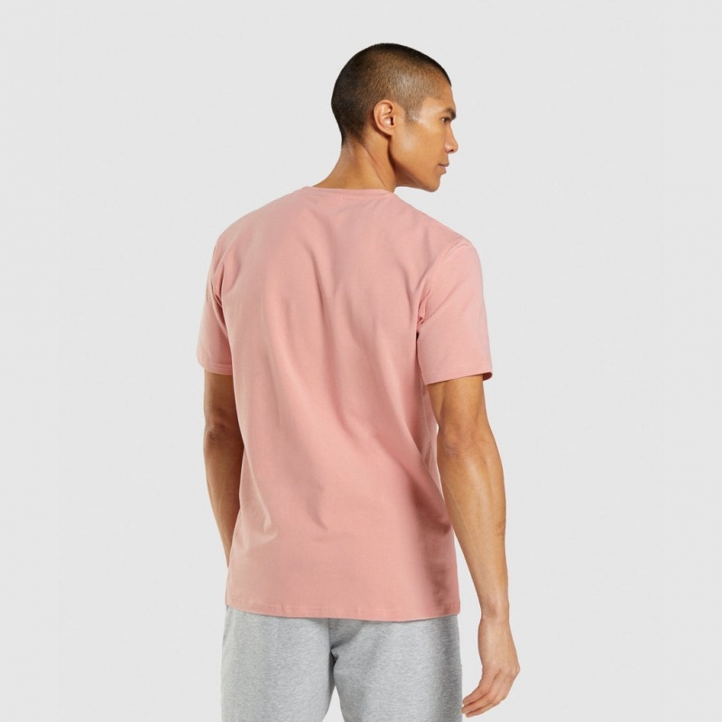 Camiseta Gymshark Sharkhead Infill Rosas | 86YWKXZQF