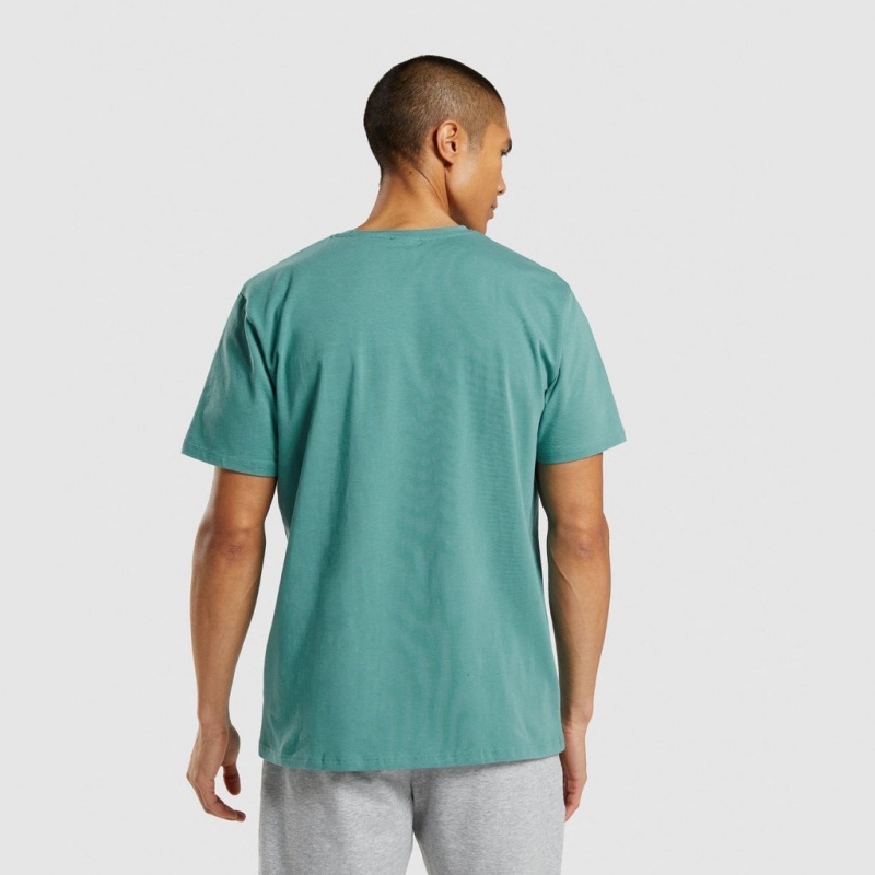 Camiseta Gymshark Sharkhead Infill Teal | 38QCYGXJB