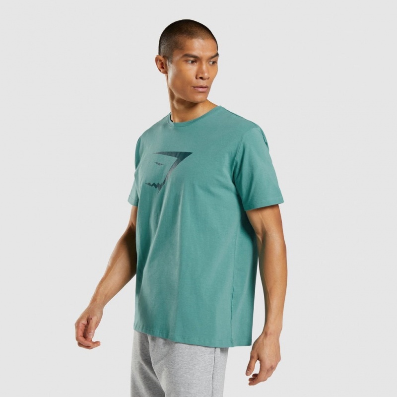 Camiseta Gymshark Sharkhead Infill Teal | 38QCYGXJB