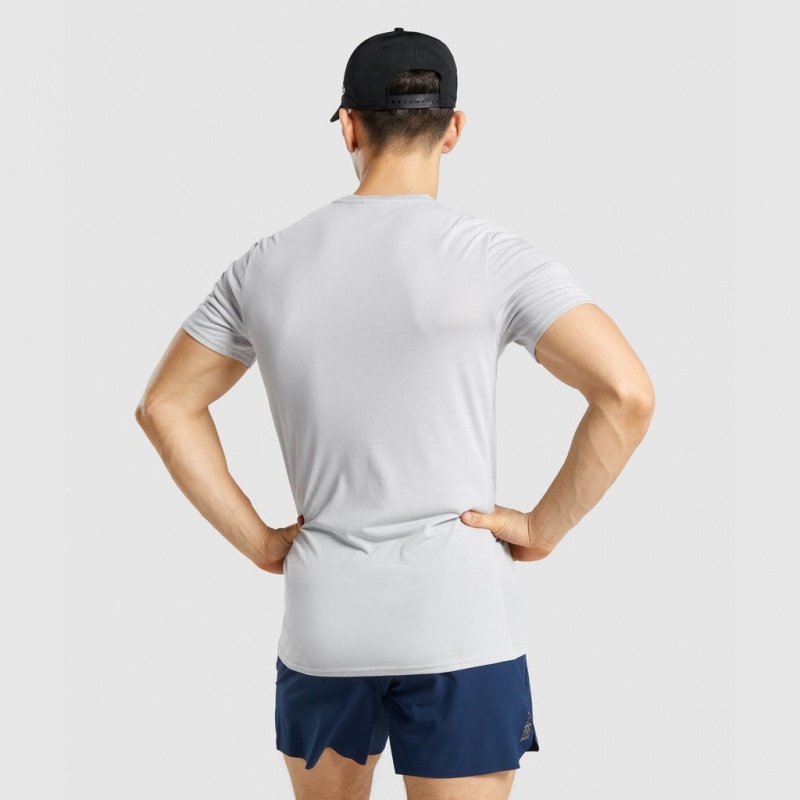 Camiseta Gymshark Sports Gris Claro | 26NAKZEMJ