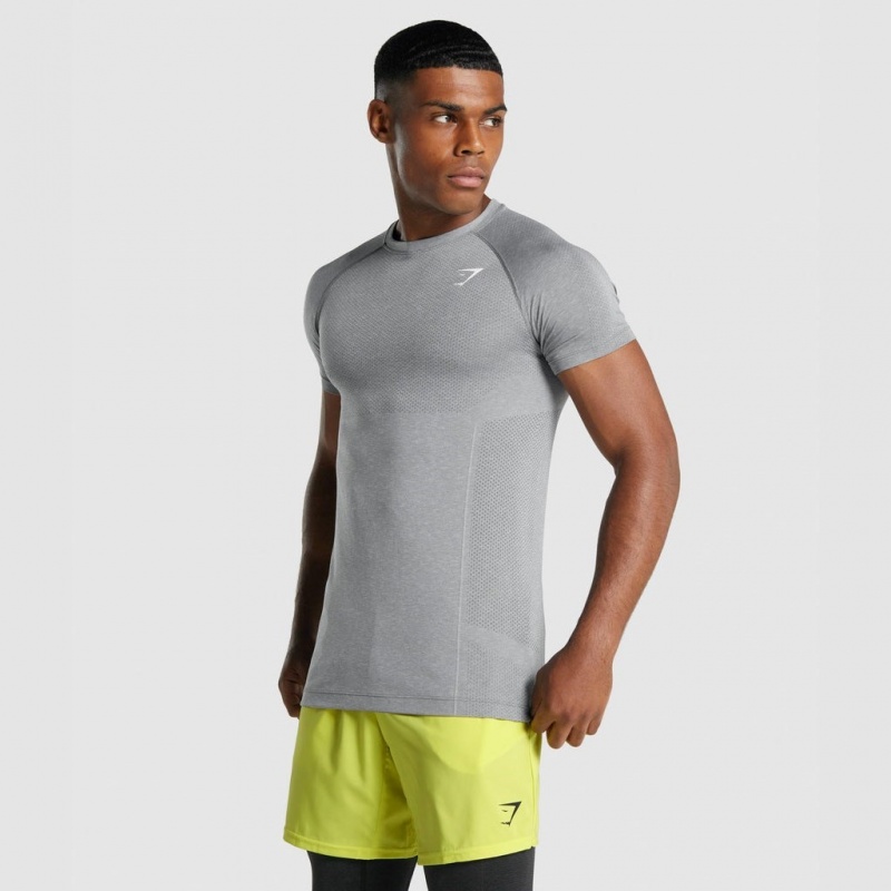 Camiseta Gymshark Vital Light Seamless Charcoal Marl | 18ETNXWMG