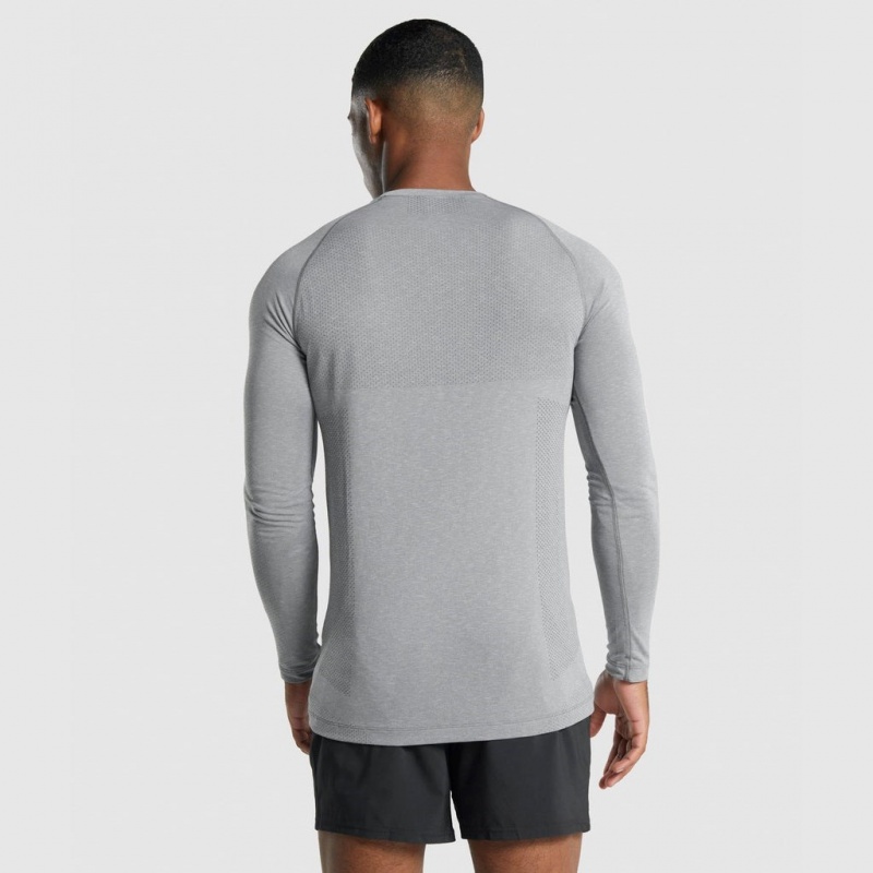Camiseta Gymshark Vital Light Seamless Long Sleeve Charcoal Marl | 35AUHMFVO