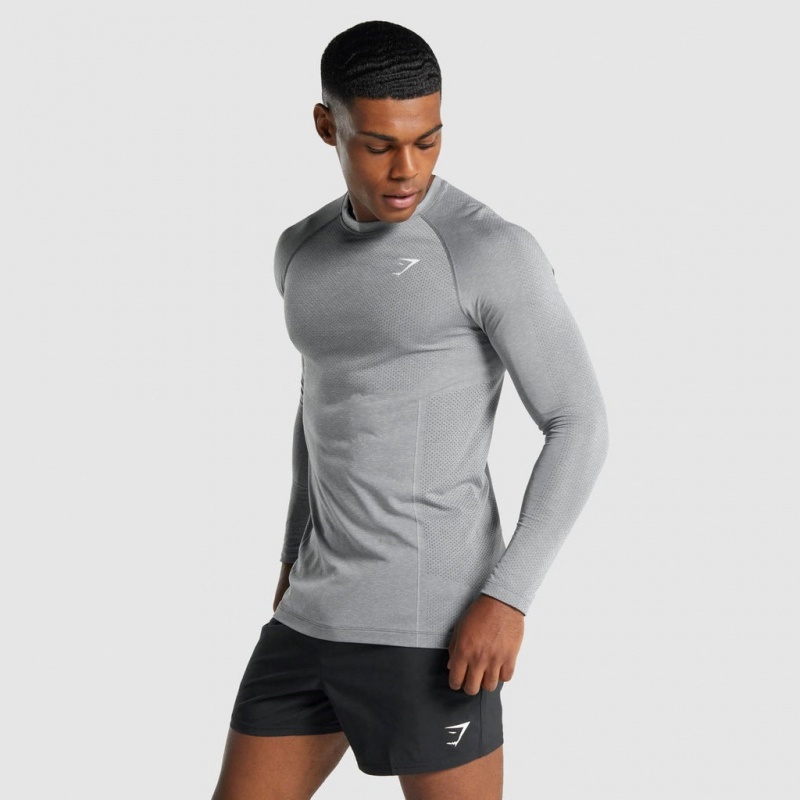 Camiseta Gymshark Vital Light Seamless Long Sleeve Charcoal Marl | 35AUHMFVO