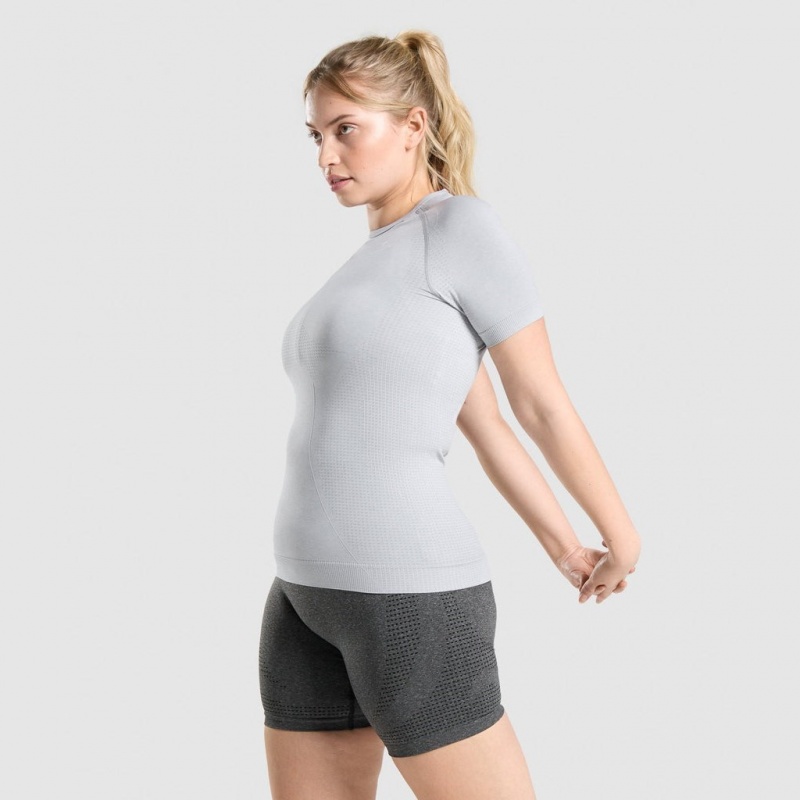 Camiseta Gymshark Vital Seamless 2.0 Gris Claro | 31IRSFDHW
