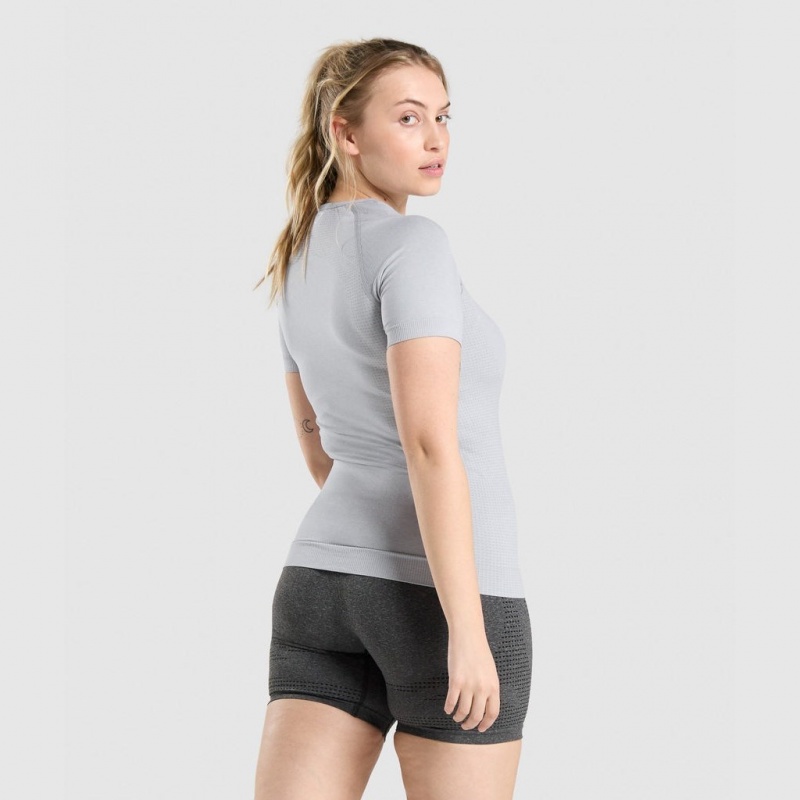 Camiseta Gymshark Vital Seamless 2.0 Gris Claro | 31IRSFDHW