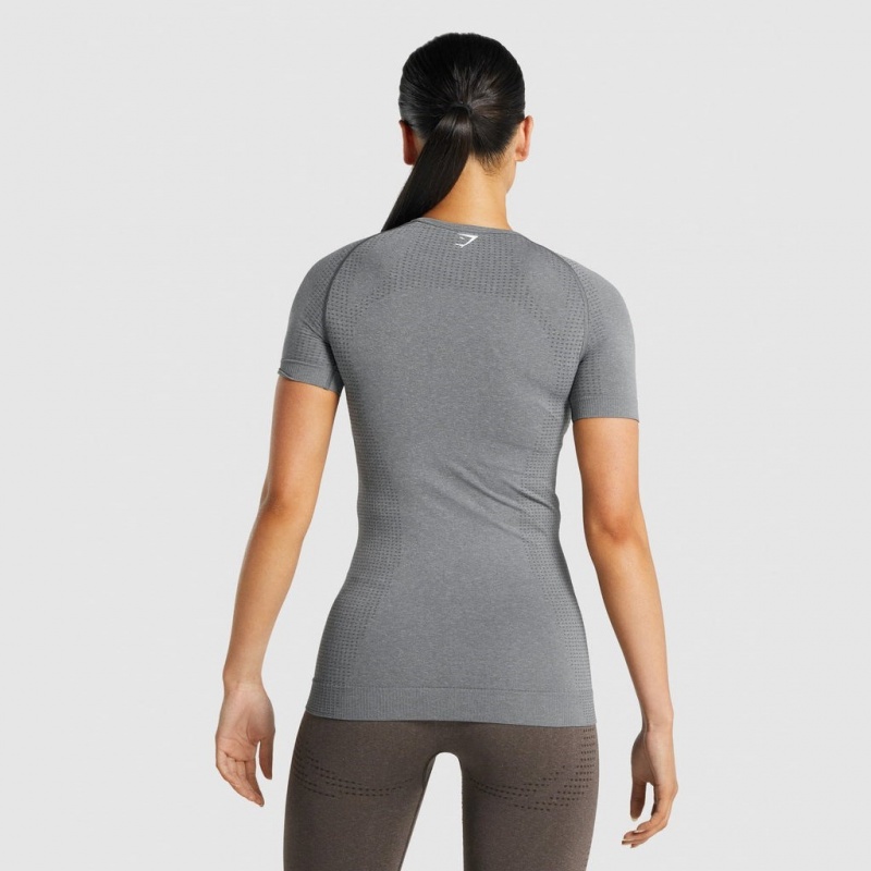 Camiseta Gymshark Vital Seamless 2.0 Gris | 50GYVJLIS