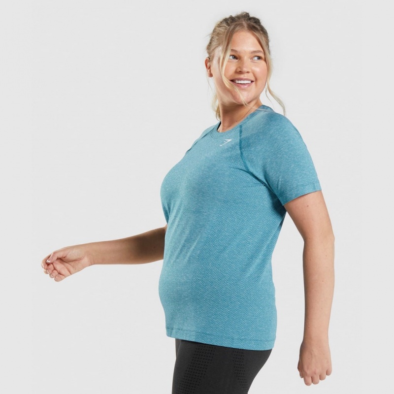 Camiseta Gymshark Vital Seamless 2.0 Light Tahoe Teal Marl | 24SNHZKLG