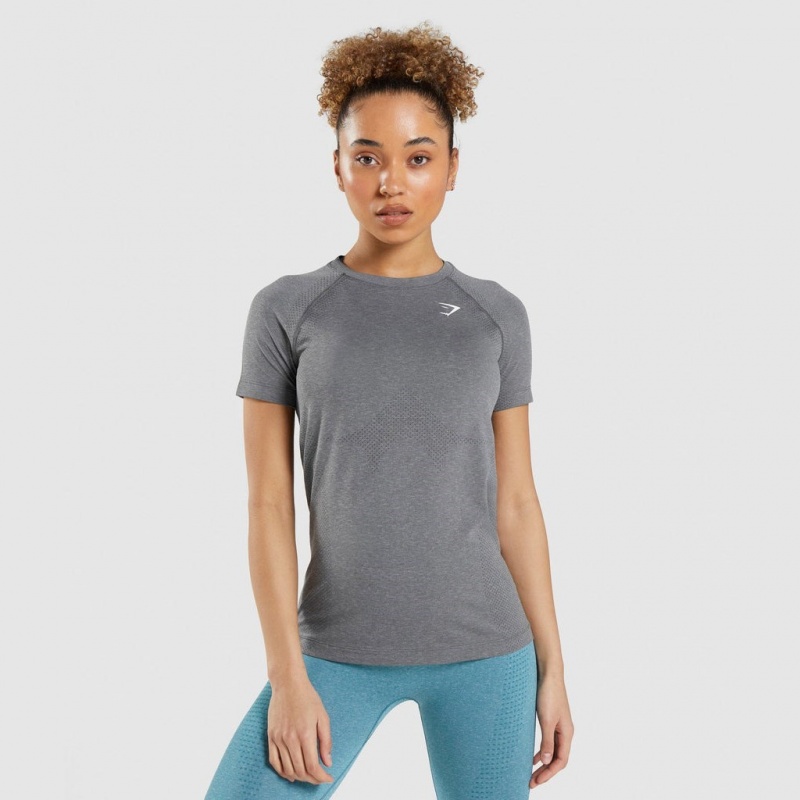 Camiseta Gymshark Vital Seamless 2.0 Light Gris | 06BLHFYSX