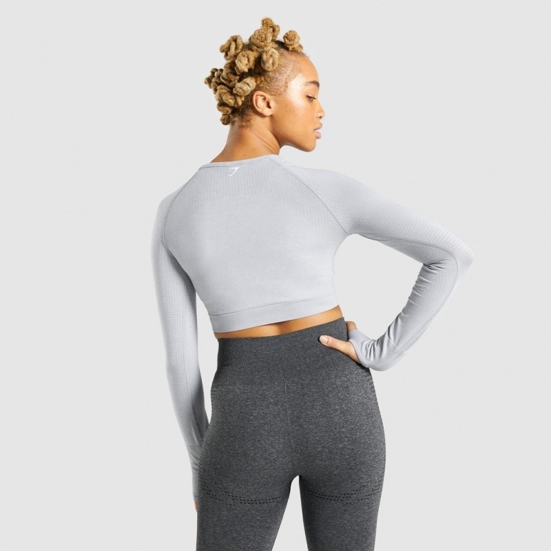 Camiseta Gymshark Vital Seamless 2.0 Long Sleeve Crop Gris Claro | 19UMPSWRZ