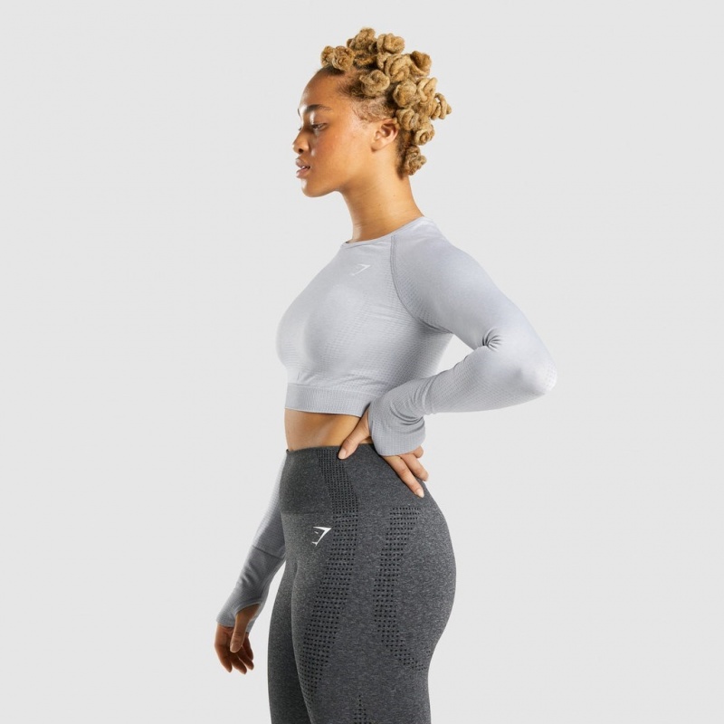 Camiseta Gymshark Vital Seamless 2.0 Long Sleeve Crop Gris Claro | 19UMPSWRZ