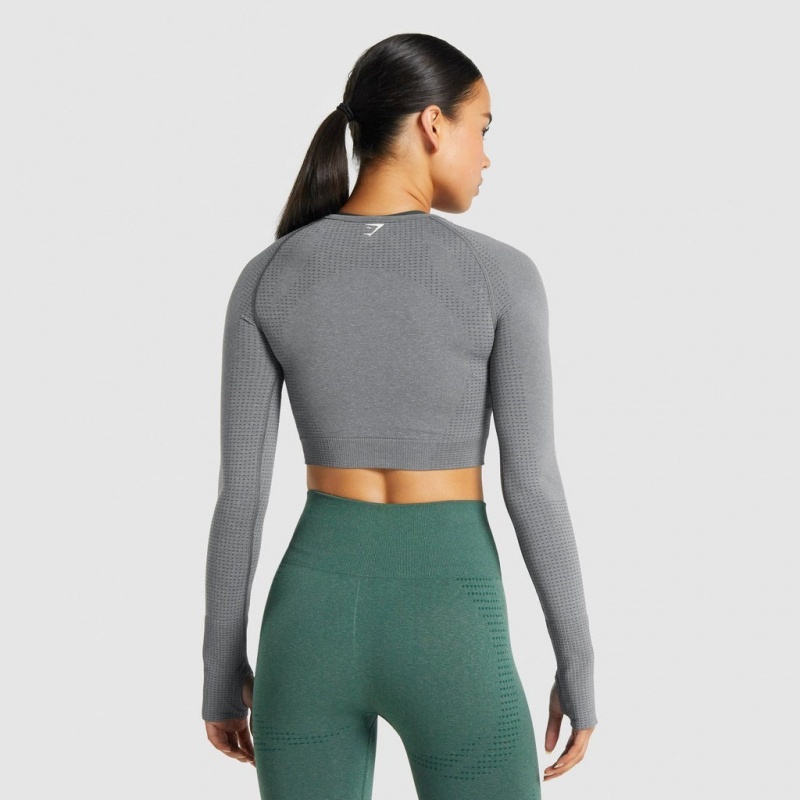 Camiseta Gymshark Vital Seamless 2.0 Long Sleeve Crop Gris | 51MIEFNTY