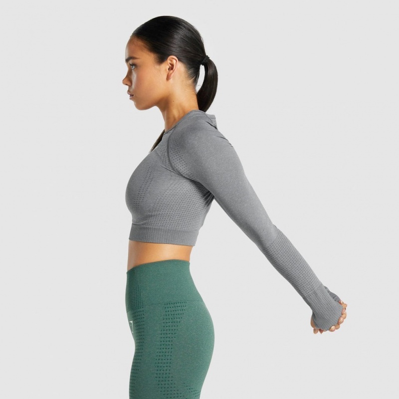 Camiseta Gymshark Vital Seamless 2.0 Long Sleeve Crop Gris | 51MIEFNTY