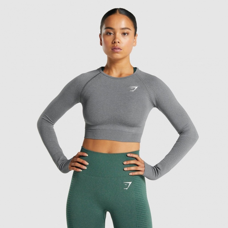 Camiseta Gymshark Vital Seamless 2.0 Long Sleeve Crop Gris | 51MIEFNTY