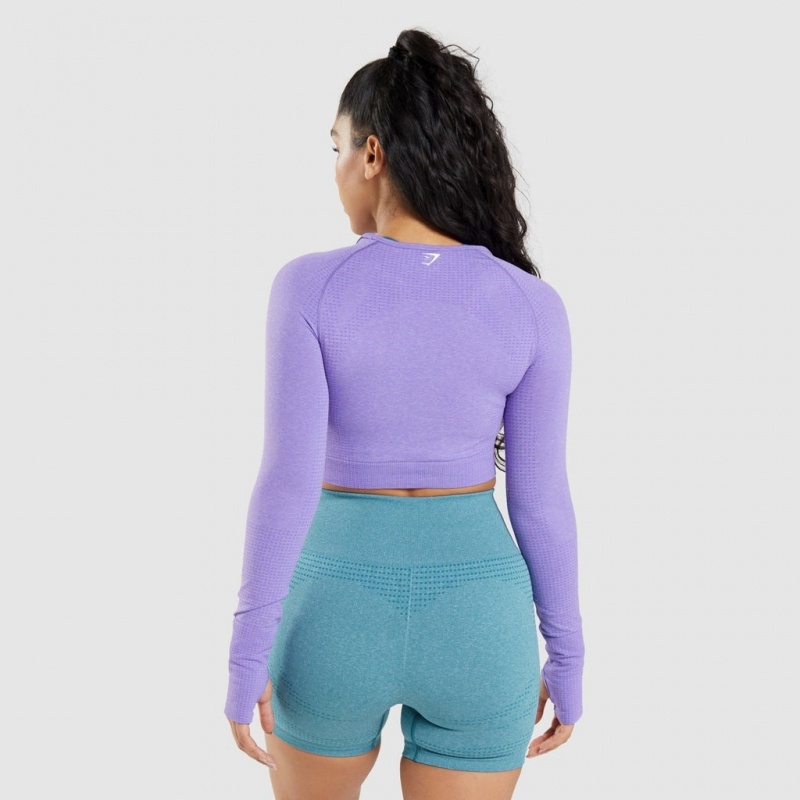 Camiseta Gymshark Vital Seamless 2.0 Long Sleeve Crop Moradas | 63PNMKQWB