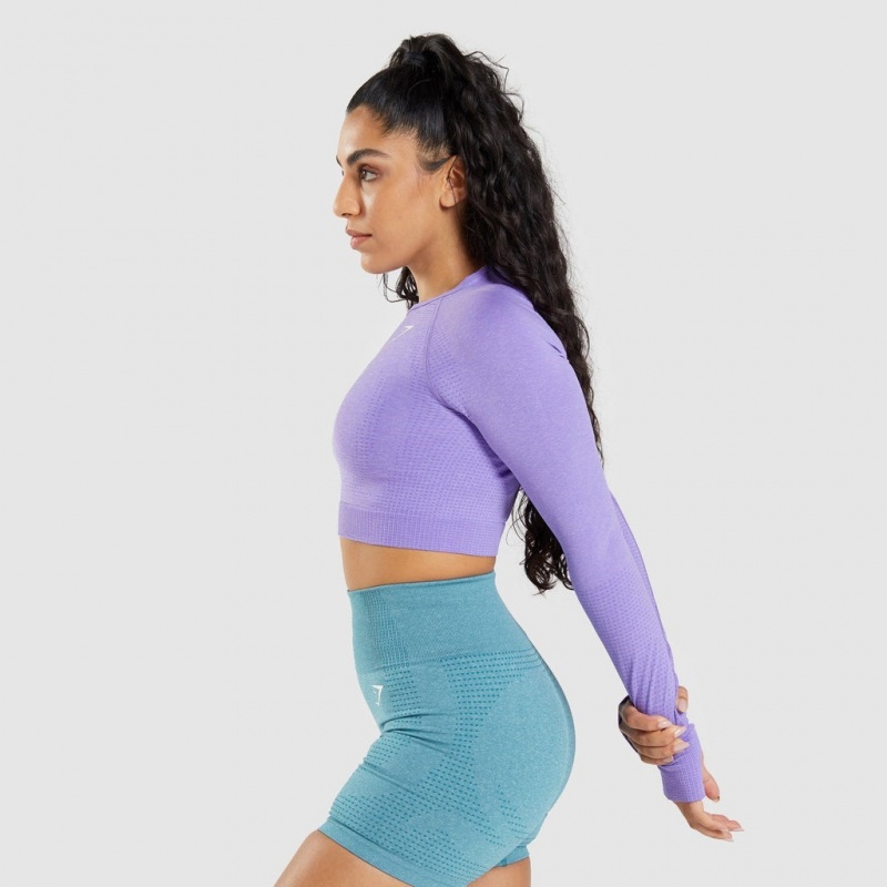 Camiseta Gymshark Vital Seamless 2.0 Long Sleeve Crop Moradas | 63PNMKQWB