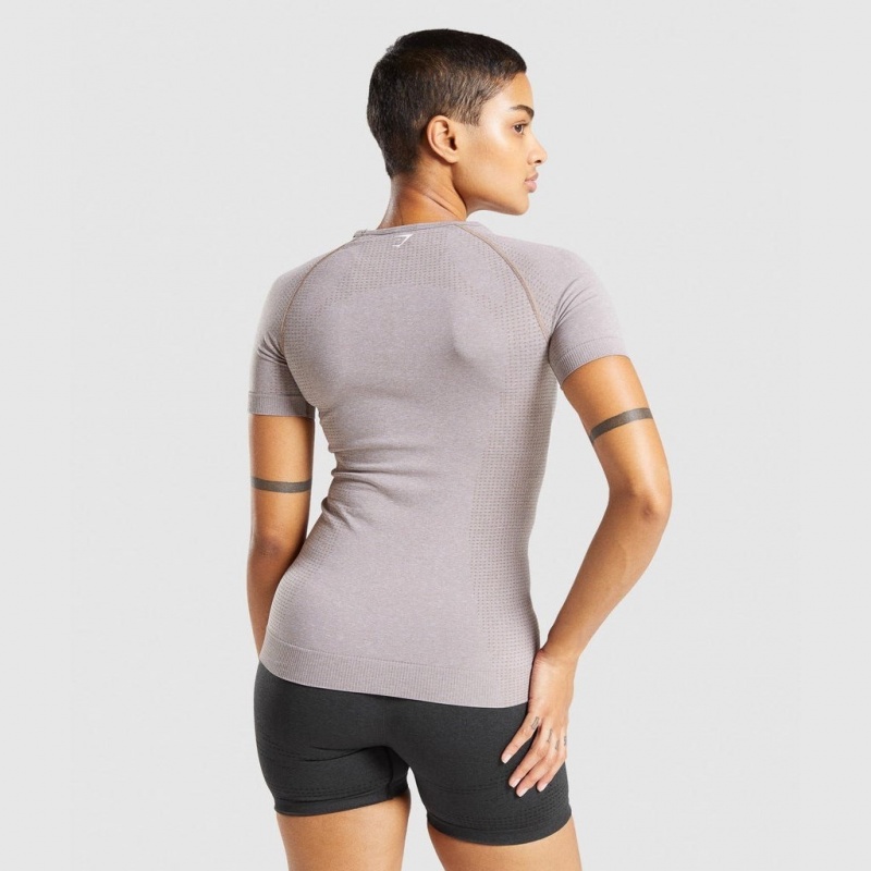 Camiseta Gymshark Vital Seamless 2.0 Taupe Marl | 60NBLQFHY
