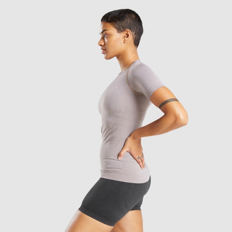 Camiseta Gymshark Vital Seamless 2.0 Taupe Marl | 60NBLQFHY
