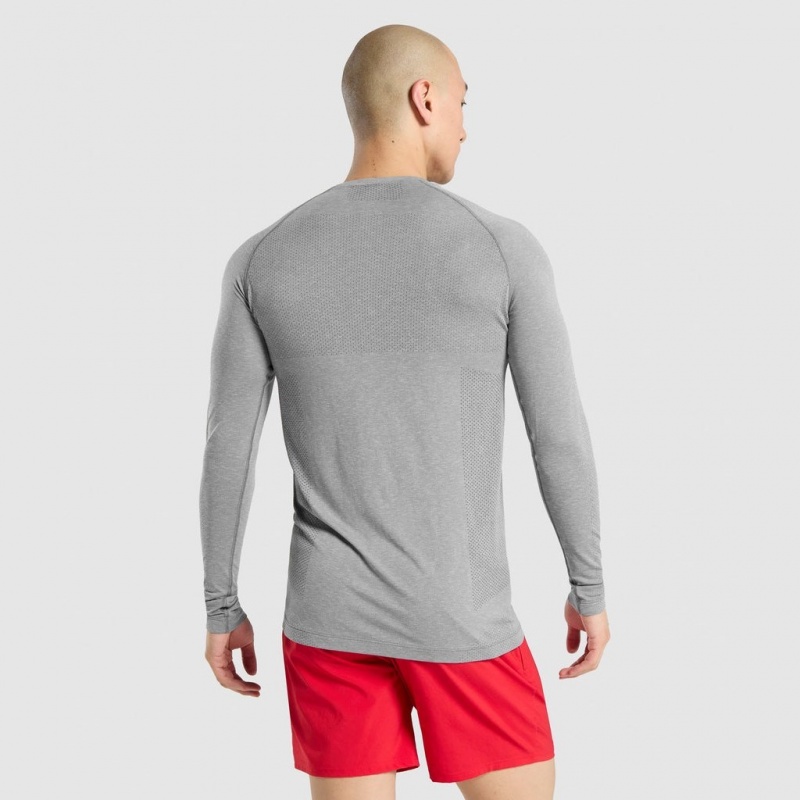 Camiseta Gymshark Vital Seamless Long Sleeve Charcoal Marl | 78JRWNEYM